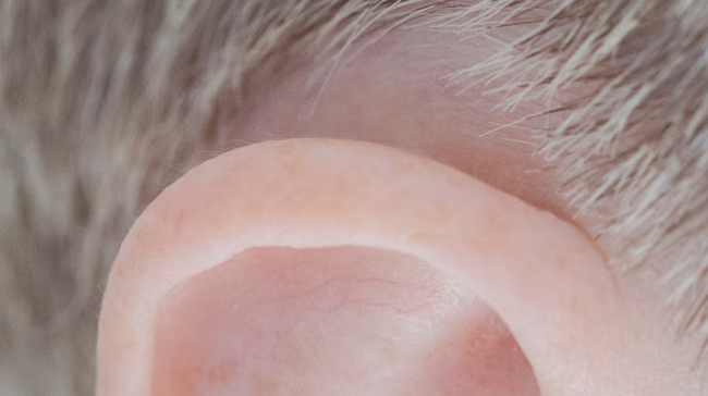 ear