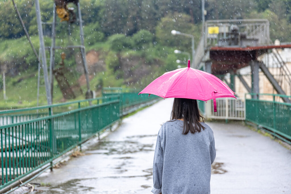 Uttarakhand Heavy Rain Alert: Schools Closed in 7 Districts, Kedarnath Yatra Suspended 