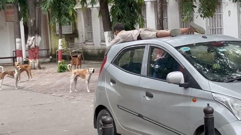 Shocker: Child Turns 'Dog' at Muzaffarnagar Collectorate 