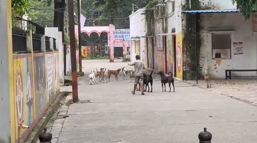 Shocker: Child Turns 'Dog' at Muzaffarnagar Collectorate 