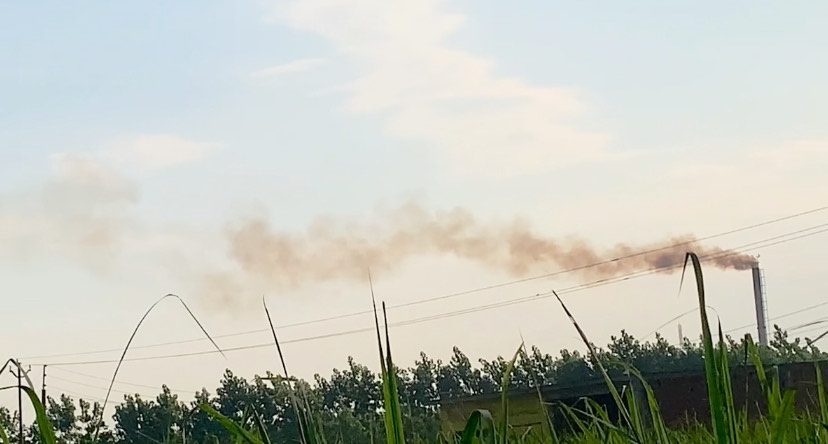 Muzaffarnagar Chokes in Toxic Smog: Factories Kill