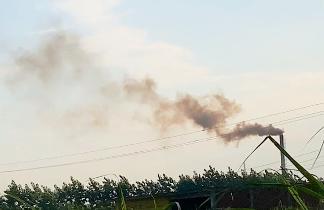 Muzaffarnagar Chokes in Toxic Smog: Factories Kill