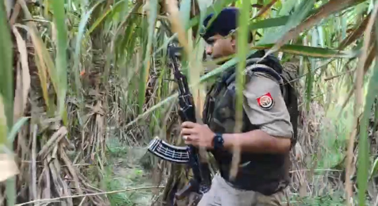 Muzaffarnagar Daytime Encounter: Naim Kurashi of Nafis Kalia Gang Killed 