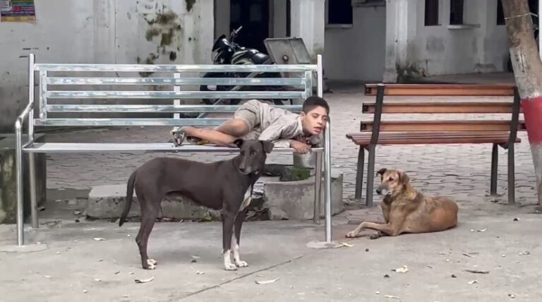 मुजफ्फरनगर कलेक्ट्रेट में बच्चा बना ‘कुत्ता, भौंकता-दौड़ता देख पुलिस भी सन्न, मची खलबली, Video