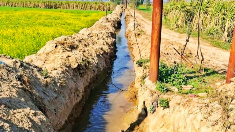 मुजफ्फरनगर: 50 साल बाद राजवाहे में बहा पानी! ‘डेड राजवाहा’ में सिंचाई विभाग ने फूंकी जान