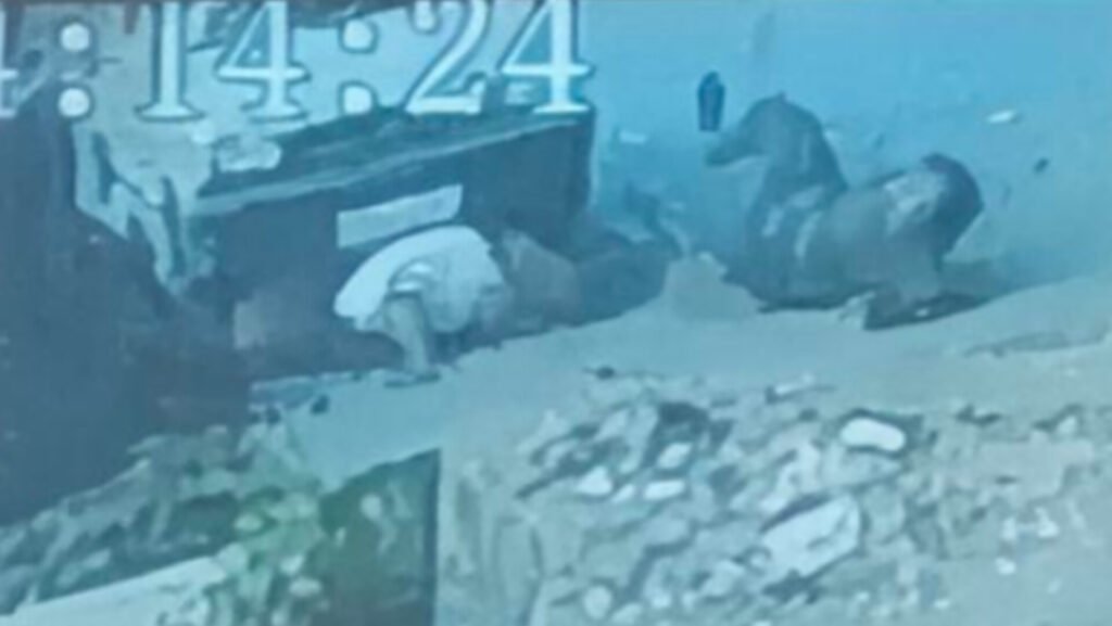 Muzaffarnagar: Maruti 800 Runs Over Two Men in Viral Video, Driver Flees 