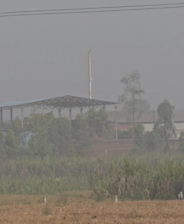मुजफ्फरनगर मौसम: हल्की बारिश के बाद धुंध की चादर, सुबह कोहरा-सा माहौल, ग्रामीण क्षेत्रों में दृश्यता प्रभावित