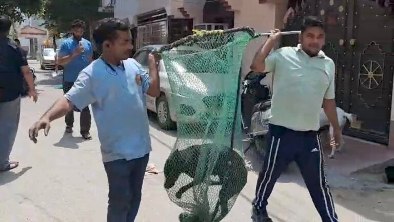 मुज़फ़्फ़रनगर में स्ट्रीट डॉग के खौफ से जंग: आवारा कुत्तों की नसबंदी का अभियान शुरू