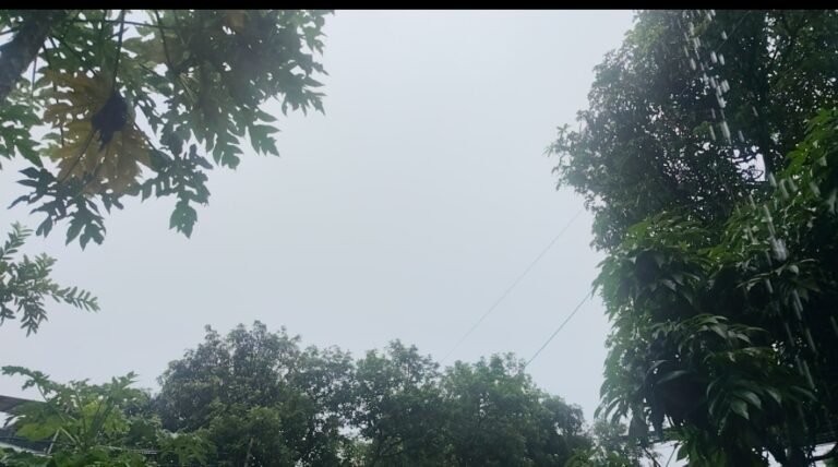 उत्तराखंड पर आफत की बारिश: आसमान से बरसी ‘आफत’, हाई अलर्ट पर प्रशासन, उफनती नदियों के बीच जिंदगी पर पहरा