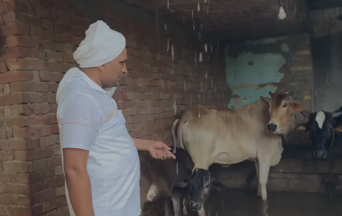 जलमग्न हुआ मुजफ्फरनगर का ये गांव: घुटनों तक भरे पानी के बीच छतों पर रहने को मजबूर ग्रामीण, भाकियू नेता ने प्रशासन को घेरा