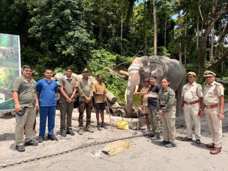 विश्व हाथी दिवस पर वनतारा की बड़ी पहल: 260 से अधिक हाथियों की देखभाल से लेकर मानव-हाथी संघर्ष रोकने तक संरक्षण का दायरा देश-विदेश में बढ़ाया